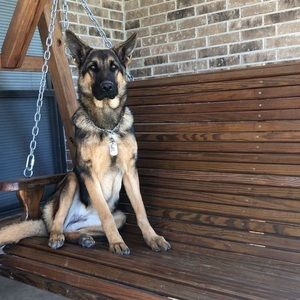 Meet your Posher, Caleb